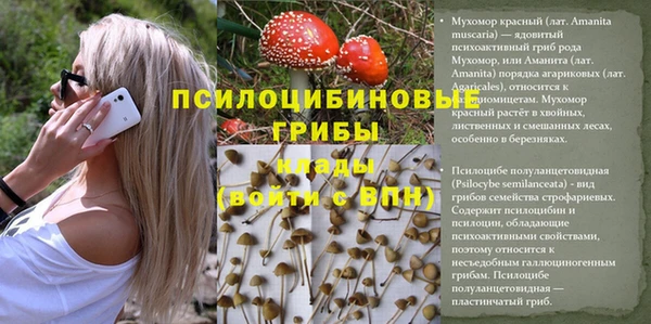 дживик Баксан