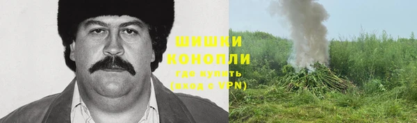 дживик Баксан